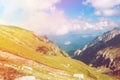 Toned panoramic view over the Carpatian mountains, green valleys Royalty Free Stock Photo