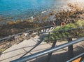 Toned image of curved stairs with handrails on the ocean coast with sharp cliffs