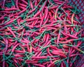 Filtered image group of red hot chili peppers in plastic basket at farmer market in Vietnam Royalty Free Stock Photo