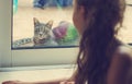 Toned portrait of girl looking out the window at the cat