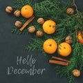 Toned post card Hello December christmas composition tangerines, nuts, cinnamon sticks and natural cypress branches on bark