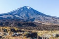 Tongariro alpine track. Portrait of Mountain. Valley of Three Volcanoes. North Island. New Zealand Royalty Free Stock Photo