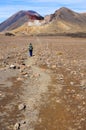 Tongariro Crossing - North Island, New Zealand Royalty Free Stock Photo