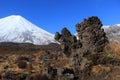 Volcanic rock, Tongariro national park