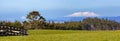 Tongariro National Park volcanoes picturesque rural panoramic view, New Zealand Royalty Free Stock Photo