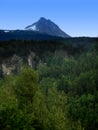 Tongass National Forest