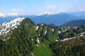 Tongass National Forest in Alaska seen from an airplane