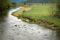 Tongass National Forest, Sitka Alaska Royalty Free Stock Photo