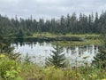 Tongass National Forest at the top of Hoonah Mountain in Icy Strait, Alaska