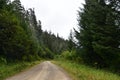 Tongass National Forest at the top of Hoonah Mountain in Icy Strait, Alaska