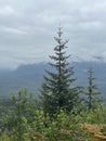 Tongass National Forest at the top of Hoonah Mountain in Icy Strait, Alaska