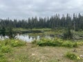 Tongass National Forest at the top of Hoonah Mountain in Icy Strait, Alaska