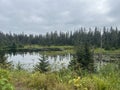 Tongass National Forest at the top of Hoonah Mountain in Icy Strait, Alaska