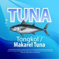 Tongkol or Mackerel