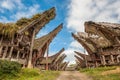 Tongkonan houses, Tana Toraja, Sulawesi