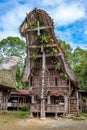 Tongkonan houses, traditional Torajan buildings, Tana Toraja, Sulawesi, Indonesia