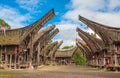 Tongkonan houses, traditional Torajan buildings, Tana Toraja