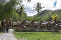 Tongkonan in Toraja, south Sulawesi, Indonesia