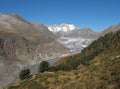 Tongue Of The Aletschgletscher Royalty Free Stock Photo