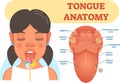 Tongue anatomy medical vector illustration diagram. Royalty Free Stock Photo