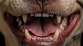 tongue dog mouth