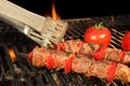 Tongue Hold BBQ Beef Shish Kebab With Vegetables On The Hot Fla Royalty Free Stock Photo
