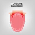 Tongue taste area zone with bitter sour salty and sweet, illustration on grey background