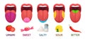 Tongue taste areas. Sweet, bitter and salty tastes. Umami and sour taste receptors diagram cartoon vector illustration Royalty Free Stock Photo