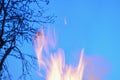 Tongues of fire on evening sky background. Burning firewood in a fire. Bright fire. Romantic, flaming