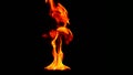 Tongues flame on a black background, slow motion