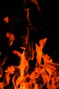 Tongues Of Flame, Sparks .fiery Wallpaper.burning Bonfire. Flames On A Black Background.Fireplace With Flames.