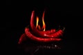 Tongues of flaming red chili peppers.burning pepper on a dark black background