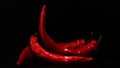 Tongues of flaming red chili peppers.burning pepper on a dark black background