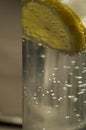 Tonic cocktail with lemon in a glass tube filled with bubbles Royalty Free Stock Photo