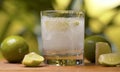 Tonic fizzy water in a glass Royalty Free Stock Photo