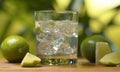 Tonic fizzy water in a glass Royalty Free Stock Photo