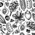 Vector background with tonic and spicy plants. Hand drawn seamless pattern with spices illustrations. Vintage aromatic elements. S Royalty Free Stock Photo