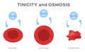 Tonicity and osmosis on red blood cell Royalty Free Stock Photo