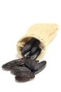 Tonka beans Royalty Free Stock Photo