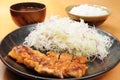 Tonkatsu Royalty Free Stock Photo