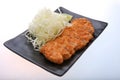 Tonkatsu - fried cutlet chicken with vegetable Royalty Free Stock Photo