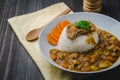 Tonkatsu, Japanese Curry Rice with deep-fried pork cutlet on woo Royalty Free Stock Photo
