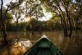 Tonle Sap Mangrove Forest