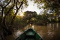 Tonle Sap Mangrove Forest