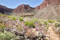 Tonto East Trail