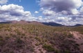 Tonto National Forest in Arizona with Native American ruins, Hohokam, Hillfort, Petroglyphs