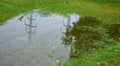 Too compact and impermeable soil does not absorb water during rains and floods. a lake was created in the park in the lawn, which