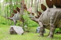 Too dinosaurs model Stegosaurus in Dinosaur Park