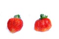 Too fresh sweet red strawberry`s with green hair Royalty Free Stock Photo