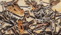 Too many keys Royalty Free Stock Photo